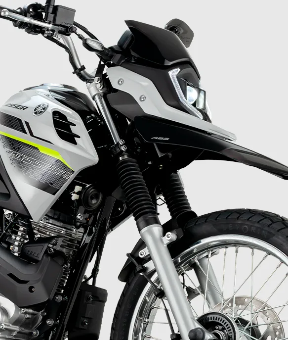 CROSSER 150 Z ABS